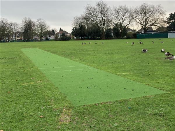 Valentines Park – Cricket Pitch