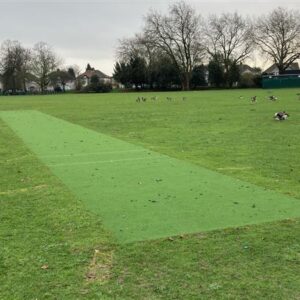 Valentines Park - Cricket Alt Sun - Weeks A